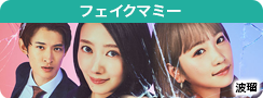 フェイクマミー