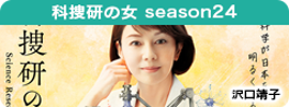 科捜研の女 season24