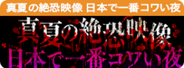 真夏の絶恐映像 日本で一番コワい夜